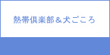 熱帯倶楽部＆犬ごころ